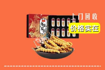 郸城县回收冬虫夏草